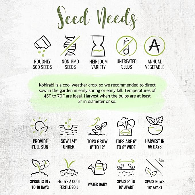 Seed Needs Kohlrabi Seeds for Planting Early White Vienna Kohlrabi Crops - Non-GMO Heirloom & Untreated Vegetable Seed to Plant an Outdoor Heirloom Home Grown Veggie Garden (1 Pack)