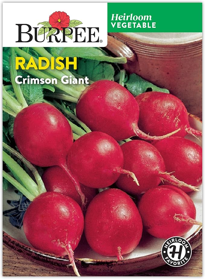 Burpee Crimson Giant Radish Seeds - Large, Mild-Flavored Roots