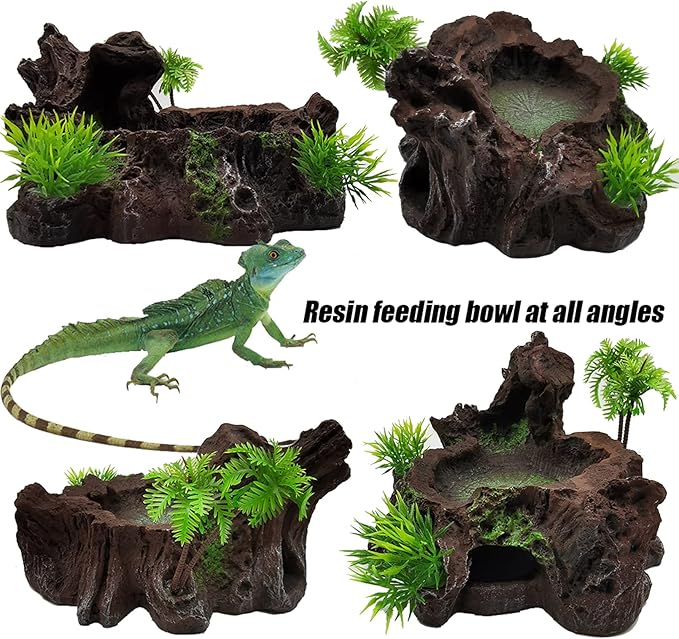 Tfwadmx Reptile Feeding Bowl,Resin Beared Dragon Food Water Dish Reptile Tank Decor for Lizard Gecko Chameleon Frog Turtle Spider