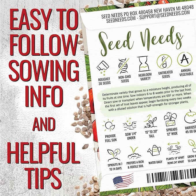 Seed Needs Dwarf Cherry Tomato Seeds for Planting Tiny Tim Tomatoes - Non-GMO Heirloom & Untreated Veggie Seed to Plant a Home Grown Outdoor Vegetable Garden (2 Packs)