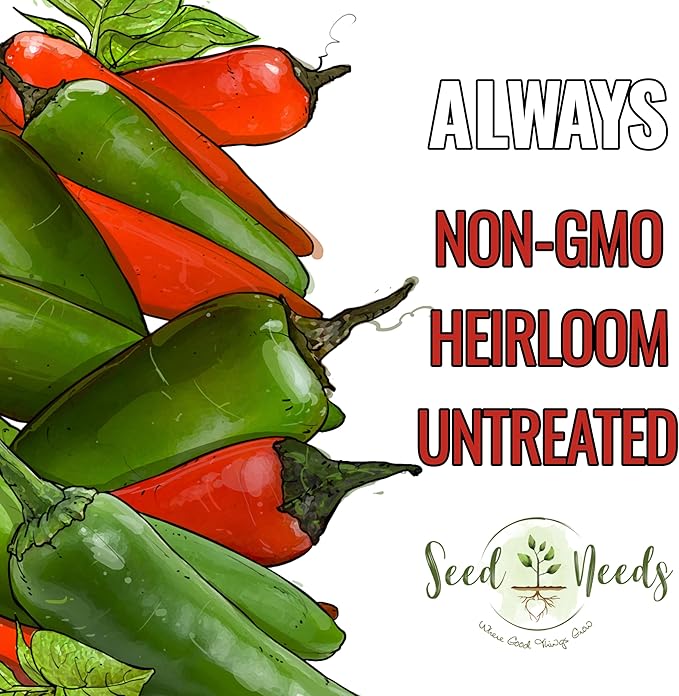 Seed Needs Hot Pepper Seeds for Planting Serrano Chile Peppers - Non-GMO Heirloom & Untreated Vegetable Seed to Plant an Outdoor Home Grown Veggie Garden (1 Pack)