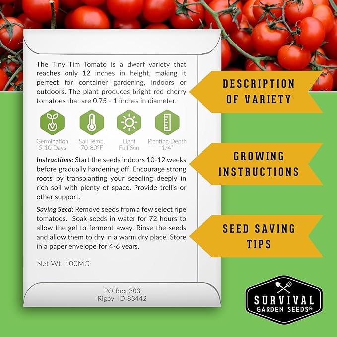 Tiny Tim Tomato Seeds - Dwarf Cherry Tomatoes for Planting Indoors or Patio, Compact Heirloom Variety for Containers, High Yield, Non-GMO - Survival Garden Seeds (1 Pack)
