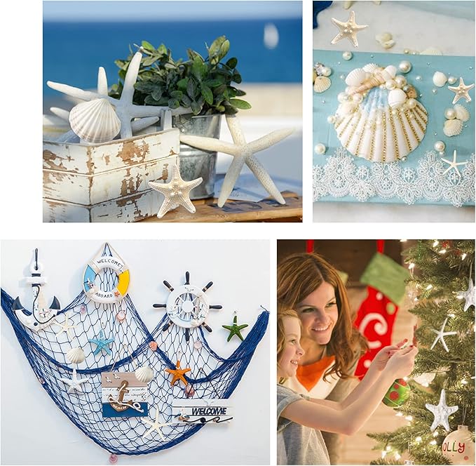 JQAQJU 3-4 Inches Large Starfish and Scallop Shells for Crafts 12PCS, Natural Beach Sea Shells for Crafting, Baking Shells Perfect for White Christmas Decor Beach Party Wedding Fishtank DIY Crafts