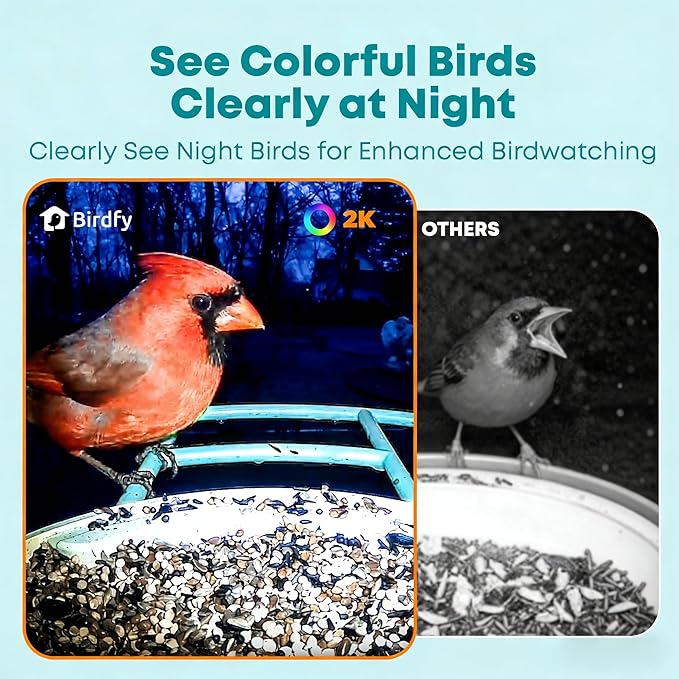 NETVUE by Birdfy Smart Bird Feeder with 2K AI Camera, Auto Capture Videos & Motion Detection, Live Steam, Wireless Wildbird Watching, Ideal Gift for Outdoor Backyard Birder(AI by Subscription)