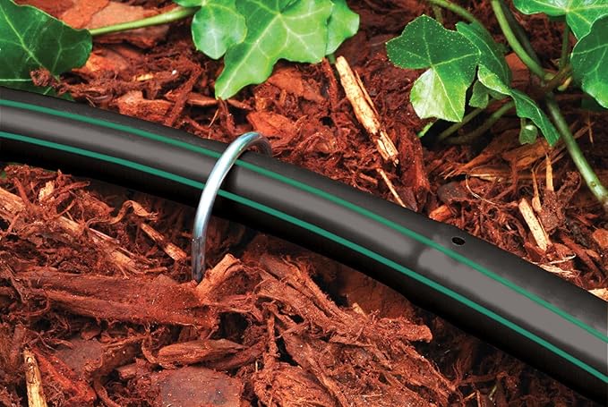 Rain Bird GS50/10PS Drip Irrigation 6" Galvanized Wire Stake for 1/2" Tubing, 10-Pack
