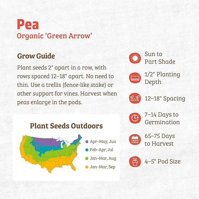 Back to The Roots 100% Organic Seed Packet - Pea 'Green Arrow' 8.4g