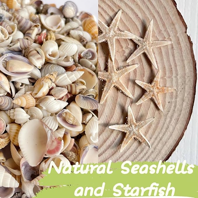 1200 PCS Tiny Sea Shells &10 Small Starfish - Mixed Ocean Beach Spiral Seashells for Fish Tank and Vase Filler, Beach Theme Party, Wedding Decor - DIY Craft Supplies
