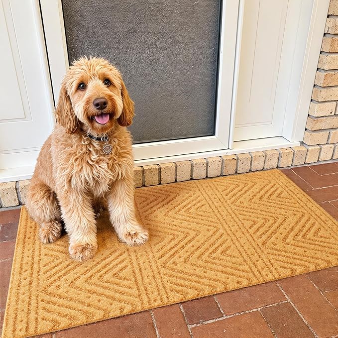 Front Door Mat Indoor Outside Entrance, Heavy Duty Dirt Trapper Coir Doormat with Non Slip Backing Entryway Rug for Front Back Door, 17x30, Brown