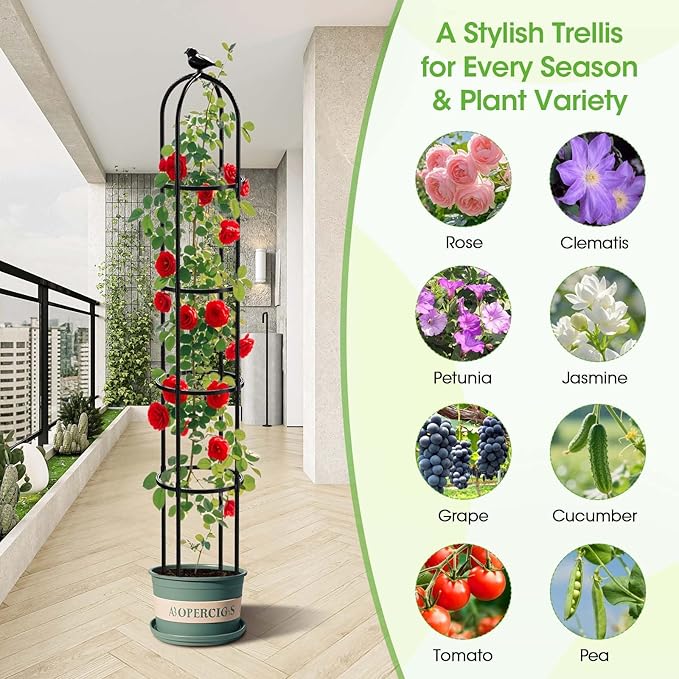 6.2ft Garden Obelisk Trellis for Climbing Plants Rustproof Metal Pipe with Heavy Duty Plastic Coated Garden Outdoor Indoor Potted Plant Support for Clematis Vine Jasmine Support (Black, 6.3 Ft(1 Pcs))