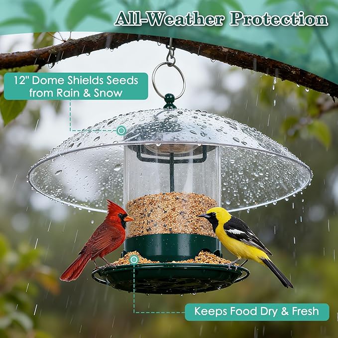 Metal Bird Feeder for Outdoor Hanging with 12” Weatherproof Dome, Weather Resistant Wild Bird Feeder with 360 Degree Feeding Tray, Green