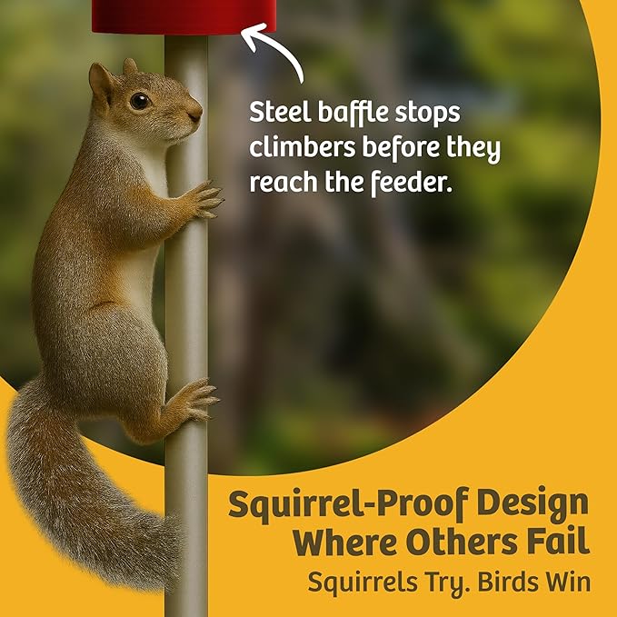 Birds Choice Classic Squirrel Proof Bird Feeder with Pole Mount | Tube Bird Feeder for Cardinals, Chickadees, Woodpeckers | Sturdy Steel for Long-Lasting Use | Backyard Bird Seed Dispenser | Green