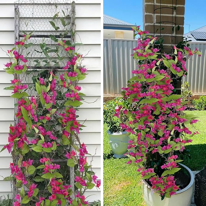 Artificial Bougainvillea Flowers Garland Fuchsia Silk Bougainvillea Vines UV Resistant Realistic Faux Hanging Flowers Plants for Outdoor Outside Summer Decoration Porch Patio Balcony Yard Wall