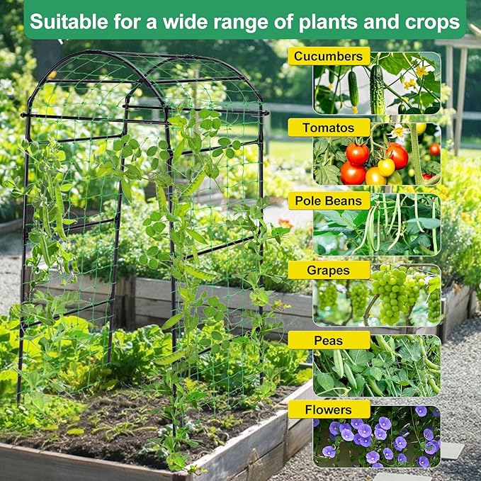 Garden Arch Cucumber Trellis for Climbing Plants Outdoor, 6.7ft Tall Archway Arbor Plant Support Grape Vine Tomato Pea Bean Trellis for Raised Bed Backyard, Black