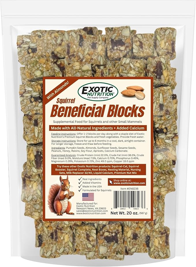 Exotic Nutrition Squirrel Beneficial Blocks - Healthy & Unique Supplemental Food with Nuts & Seeds, 20 oz