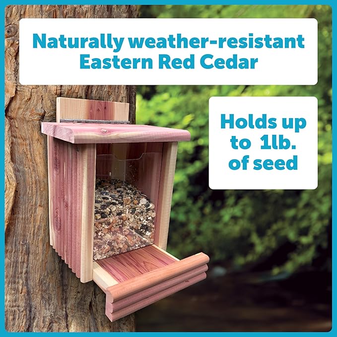 Pennington Cedar Squirrel Snacker Feeder, 2.75 LB Capacity