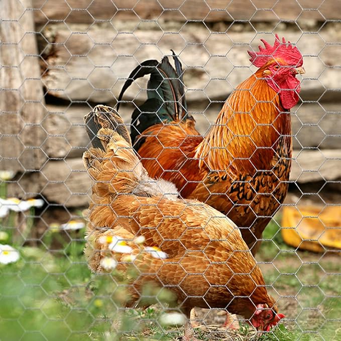 Miuwauer Chicken Wire Chicken Wire 13.7 in x 237 in Poultry Wire Netting Hexagonal Galvanized Mesh Garden Fence Barrier for Pet Rabbit Chicken Fencing with 100 Pcs Cable Zip Ties