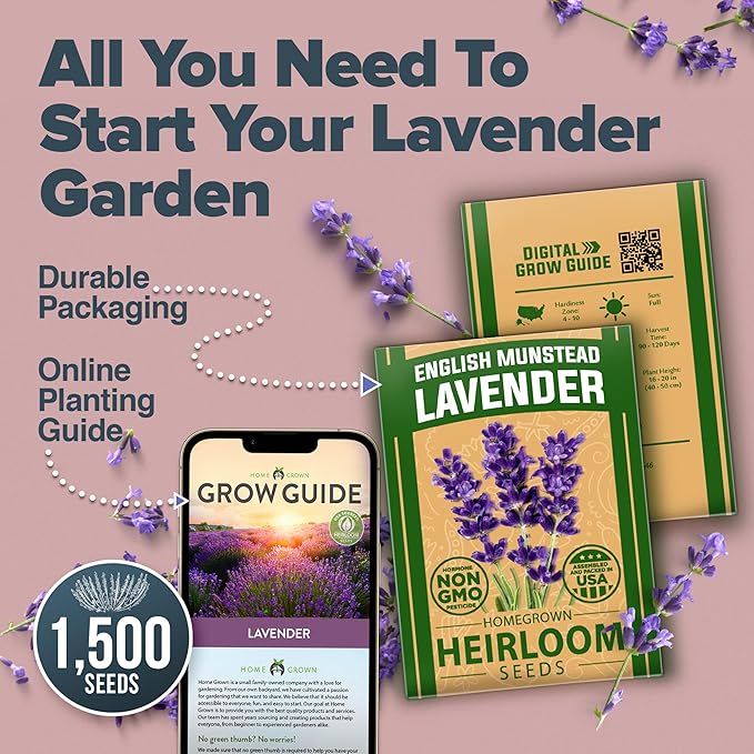 HOME GROWN Non GMO English Lavender Seeds 1,500+ Wildflower Seed for Planting Indoor/Outdoor, High Germination, Plant Flower Seeds (Lavandula antustifolia)