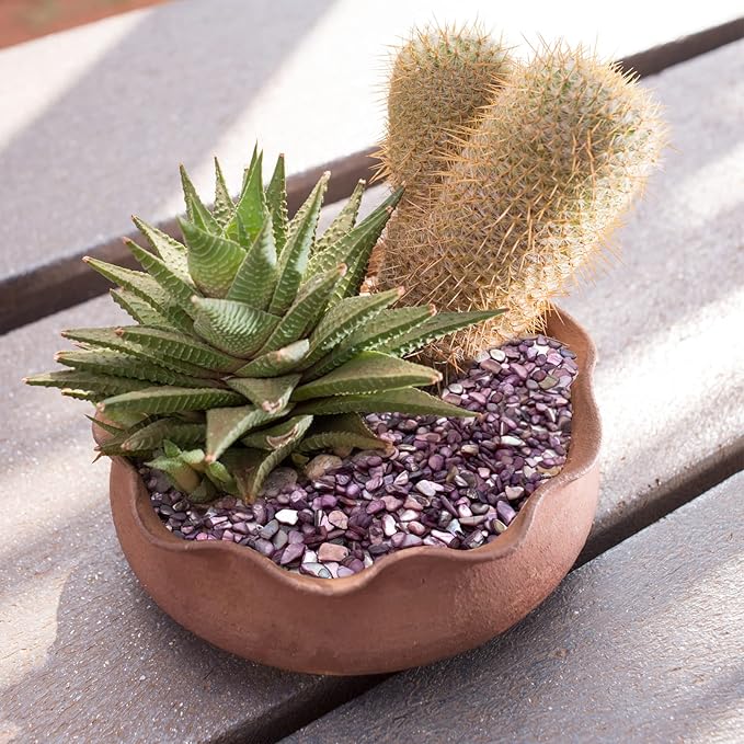 Crushed Shells for Crafts, Sea Shells for DIY Art, Vase Fillers Table Scatter, Party Favor, Wedding Decoration, Succulents Plants Soil Cover, Art Crafts