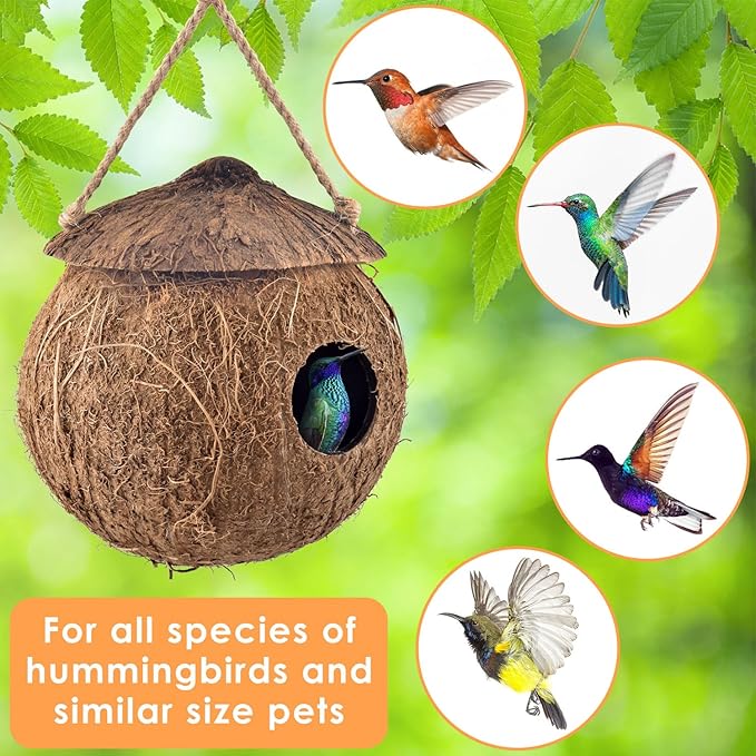 KATUMO Hummingbird Houses, Natural Coconut Bird Houses for Outside Hanging Hummingbird Swinging Nest, with Coconut Fiber Bedding for Nesting Window Garden Outdoor Home, 3Pcs
