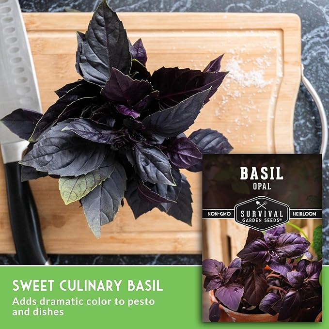 Opal Basil Seeds for Planting - Dark Opal Basil with Purple Leaves - Unique Herb Seed Variety - Heirloom, Non-GMO Herbs for Home Gardens - Survival Garden Seeds (1 Pack)