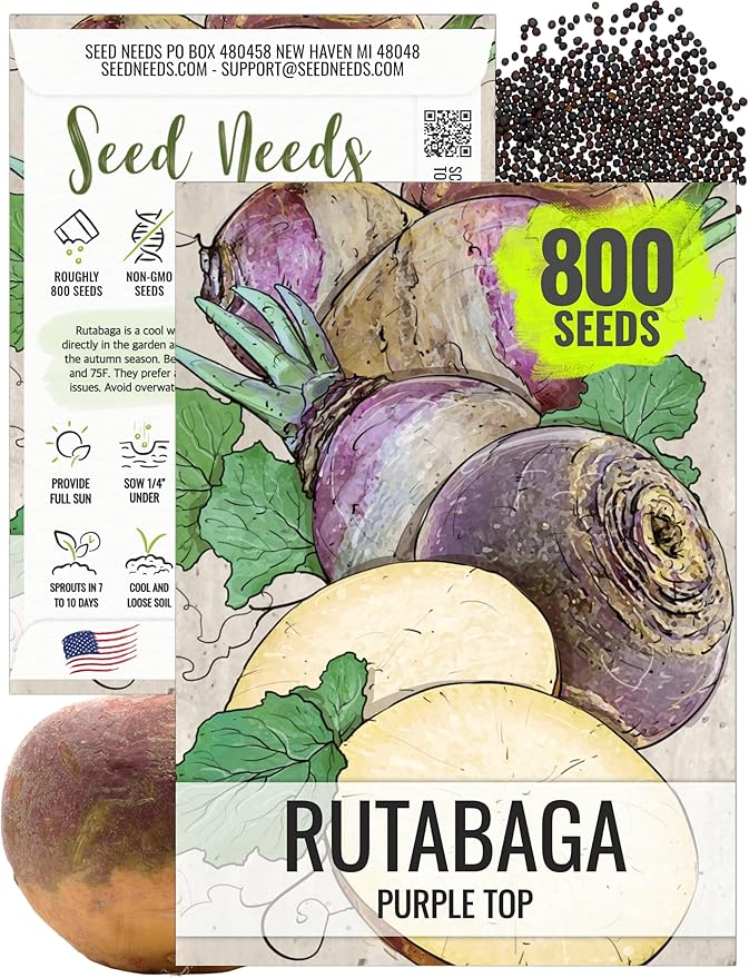 Seed Needs Rutabaga Seeds for Planting Purple Top Rutabagas - Non-GMO Heirloom & Open Pollinated Vegetable Seeds to Plant an Outdoor Home Grown Veggie Garden (1 Pack)