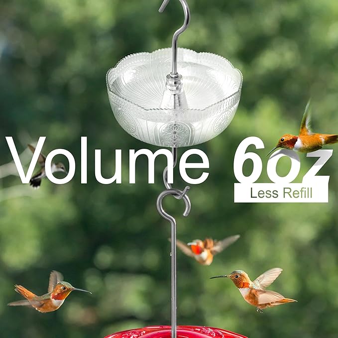 Ant Moat for Hummingbird Feeders, (4 Pack, 6 OZ) Vintage Style Ant Guard Hummingbird Feeder (Clear)
