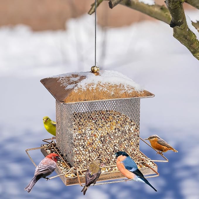 Bird Feeder, Heavy Duty Metal Bird Feeders for Outdoor Hanging, Wild Birdfeeder with Buckle for Garden Yard Outside Backyard, 3.5LB Large Capacity
