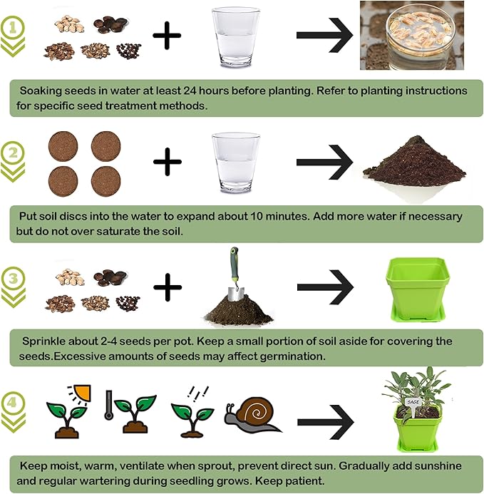10 Herb Seeds Garden Starter Grow Kit with Green Pots, Markers, Soil Discs, Watering, Herb Clipper, Complete Indoor Potted Plant Growing Set for Kitchen DIY