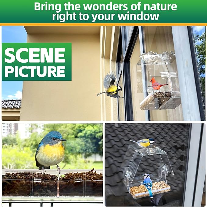 Large Window Bird Feeder with 2 Strong Suction Cups & 2 Non-Marking Adhesive Hooks, Clear View Bird Watching Gift for Bird Lovers & Cats, Bird House-Shaped Design Decor