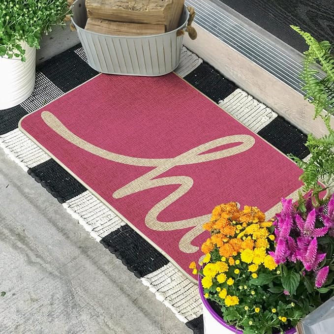 Artoid Mode Pink Hi Spring Doormat, Summer Home Decor Low-Profile Switch Rug Door Mat Floor Mat for Indoor Outdoor 17x29 Inch