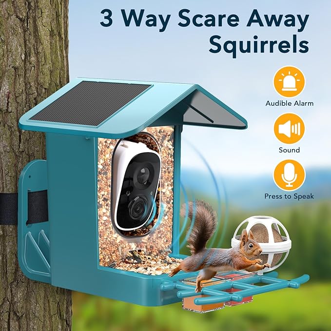 PeckCam® Bird Feeder with Camera Solar Powered, AI Identify & Auto Capture with 32GB Card, 2K HD Live Video Smart Bird Feeder Camera Instant Notifications in Backyard, Gift for Bird Lovers