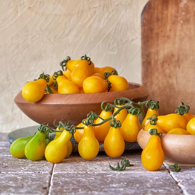 Burpee 'Yellow Pear' Heirloom Tomato Seeds - Non-GMO, Indeterminate, Heirloom, Cherry Tomato, 200mg Seed Packet for Home Gardening