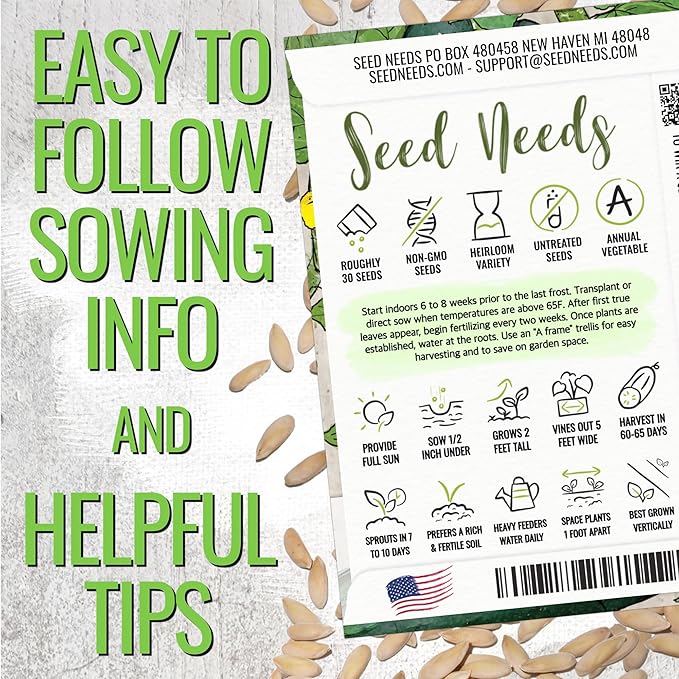 Seed Needs Cucumber Seeds for Planting Spacemaster 80 Cucumbers - Non-GMO Heirloom & Untreated Vegetable Seed to Plant an Outdoor Home Grown Veggie Garden (1 Pack)