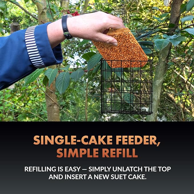 Newhouse Pet Single Cake Suet Basket Bird Feeder NHP-Suet-BLK, Small Hanging Bird Feeder for Outdoors, Suet Cake Holder for Jays, Woodpeckers, Chickadees, Wrens, and Other Birds