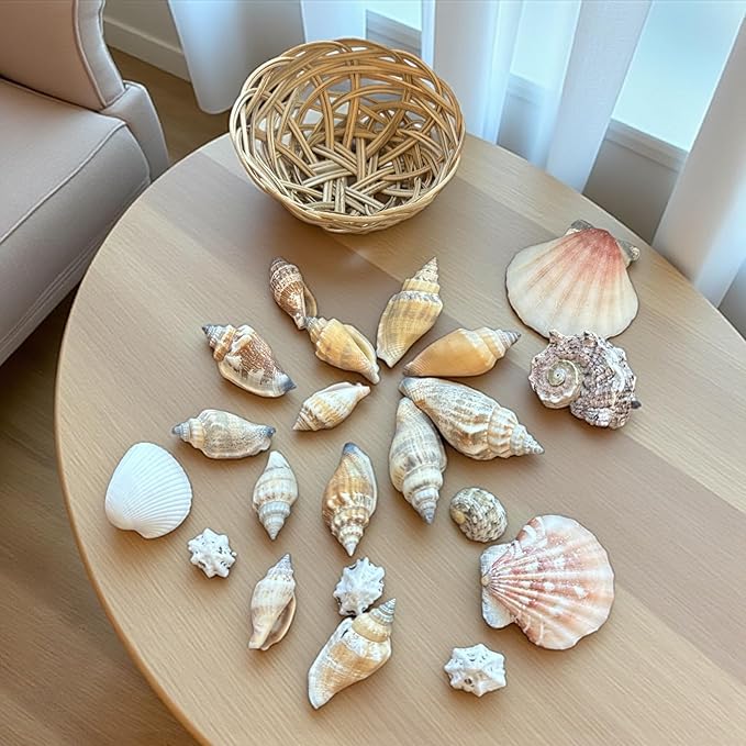 Seashell Basket Decor Set – 21 Natural SEA Shells in 3” Handwoven Basket + Free Decorative Stone Gift – Coastal Centerpiece for Beach Weddings, Baby Showers & Coastal Home Decor
