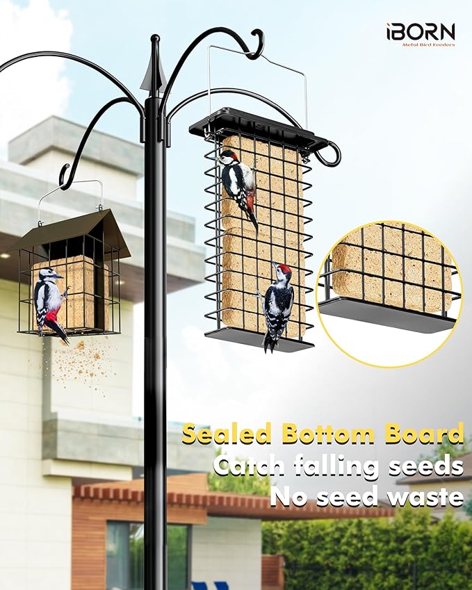 iBorn Metal Double Suet Feeder,Durable Suet Cake Cage Bird Feeder for Outdoors Hanging，Metal Roof Bird Feeder with Taller Grid for Woodpeckers,Large Suet Holder,Easy Clean & Refill,1 Pack,Black