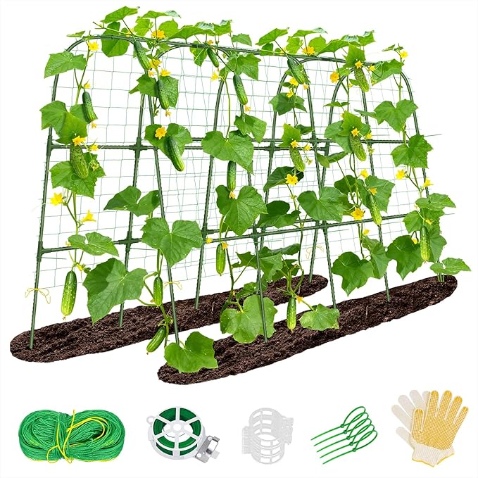 Garden Cucumber Trellis for Climbing Plants Outdoor- 66x48 Inch U-Shaped Cucumber Trellis for Raised Bed, Metal Arch Plant Trellis for Outdoor Vegetable Grape Pea Bean Vine Squash