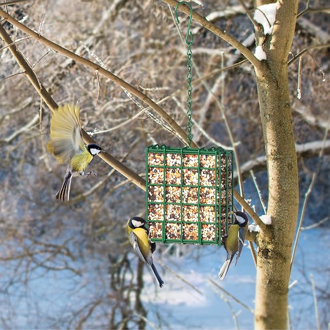 Bird Feeder for Outdoors, 2 Pack Suet Feeder Hanging Bird Feeder, Hanging for Garden Yard Outside - Suet Cake Feeders fo Attracting Birds