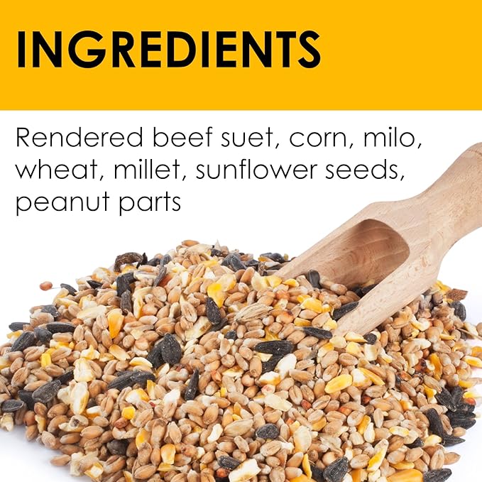 Heath Outdoor Products Peanut Crunch Suet Cakes Sample Pack, Contains 3 Suet Cakes, Try It, Your Birds Will Love it, for Woodpeckers, Cardinals, Siskins, Sparrows, Finchs & Many More Wild Bird Species