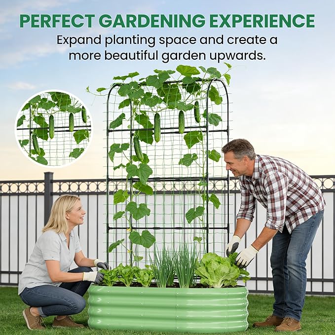 SUNYRISY Galvanized Raised Garden Bed with 71in Arch Trellis for Climbing Plants, Outdoor Planter Box with Climbing Net for Gardening Flowers Vegetables Fruits Herbs, Green