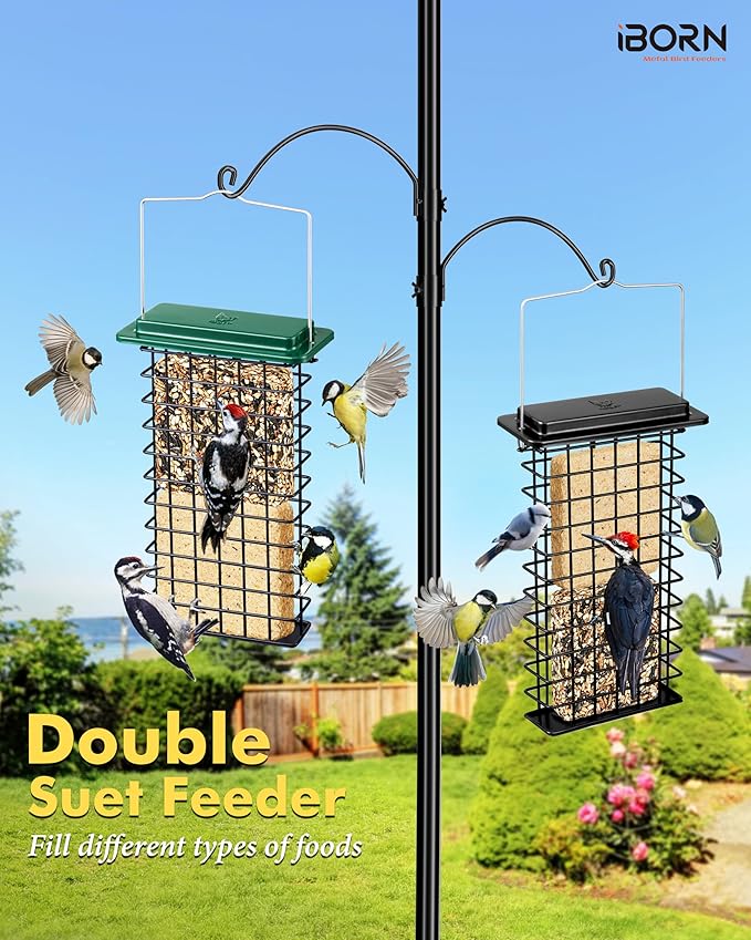iBorn Metal Double Suet Feeder,Durable Suet Cake Cage Bird Feeder for Outdoors Hanging，Metal Roof Bird Feeder with Taller Grid for Woodpeckers,Large Suet Holder,Easy Clean & Refill,1 Pack,Green