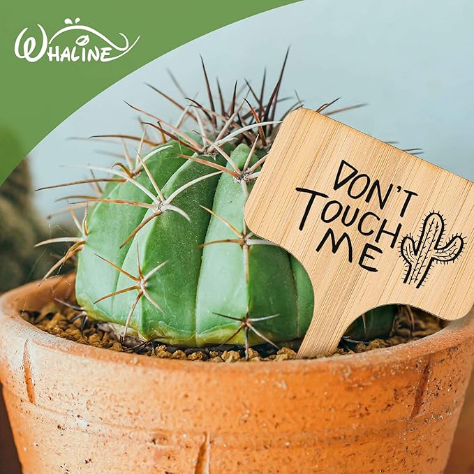 Whaline 30Pcs Bamboo Plant Labels with A Marker Pen, T-Type Wooden Plant Marker Garden Sign Tags Garden Markers for Seed Potted Herbs Flowers Vegetables (6 x 10 cm)