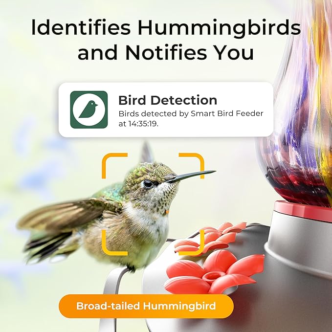 TT Nature Glass Smart Hummingbird Feeder with Camera Solar Powered 2K- AI Identify & Water Detection, Instant Notification, Leakproof & Ant Moat, Compatible with Alexa & Google Assistant