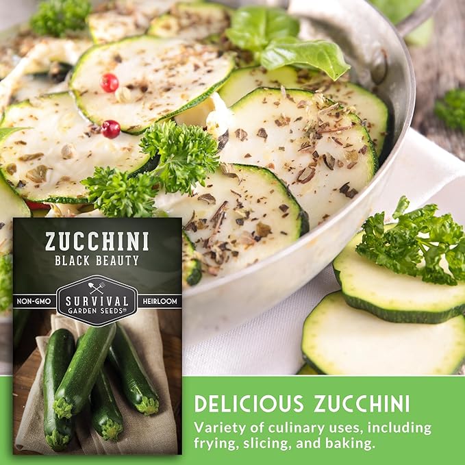 Survival Garden Seeds - Black Beauty Zucchini Seed for Planting -2 Packs with Instructions to Plant & Grow Dark Green Summer Squash Plants in Your Home Vegetable Garden - Non-GMO Heirloom Variety