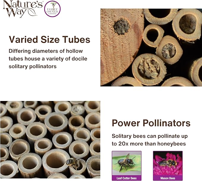 Nature's Way Bird Products PWH1-C Teal Bee House