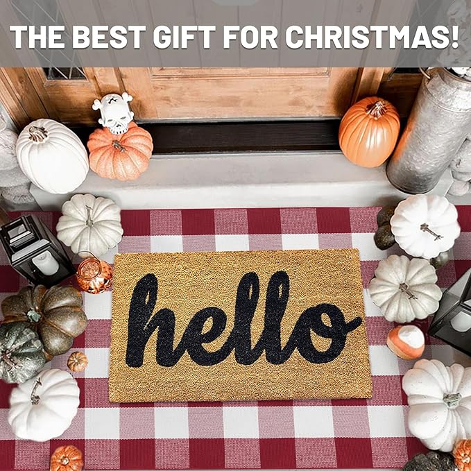 IOHOUZE Christmas Buffalo Plaid Rug 3x5 Ft Outdoor Indoor Doormat Red White Check Washable Area Rug Woven Cotton Checkered Front Porch Mat Christmas Decor for Front Door Entryway Living Room