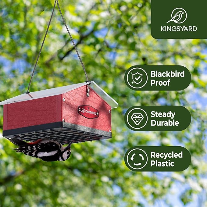 Kingsyard Upgraded Upside Down Double Suet Feeder for Outside Hanging, Squirrel-Proof Metal Edging, Wild Bird Feeder with Metal Weatherproof Roof, Attracting Woodpeckers, Nuthatches, Titmouse