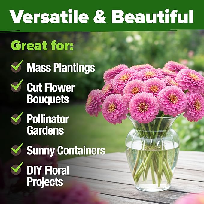 HOME GROWN Pink Zinnia Seeds – 1500 Luminosa Zinnias, Easy to Grow Annual Flower Seeds for Planting Outdoors for 2026, Fast Blooming, Heat Tolerant Herb Seed Garden Companion (Zinnia elegans)