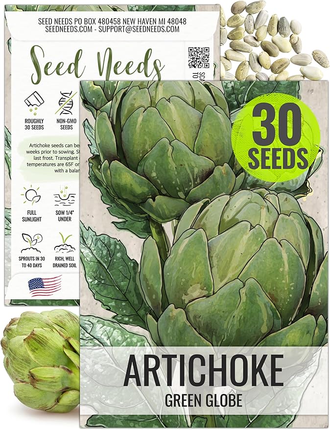 Seed Needs Artichoke Seeds for Planting Green Globe Artichokes - Non-GMO Heirloom & Untreated - Grow an Outdoor Home Grown Vegetable Garden for Fresh Produce (1 Pack)