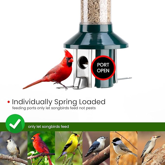 Roamwild PestOff 2.0 Squirrel Proof Wild Bird Feeder Mixed Seed Sunflower Heart Version - GREEN - HUGE 4LBS SEED CAPACITY – 26”x8”x8” (w/hanger)